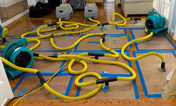 Professional Basement Flood Cleanup technician working in Forestdale, AL